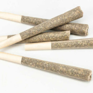 5 Premium Prerolls